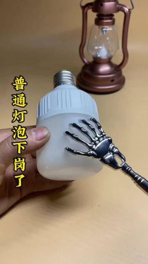 給愛寵與生活加點料 這些實用好物，獸醫(yī)也在用！